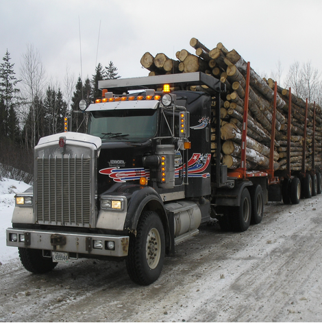 Récolte Forestière Groupe Guy Harvey